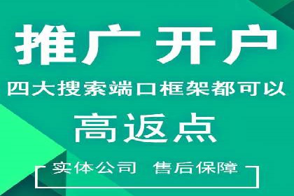 搜索开户返点揭秘：成功案例教你赚钱